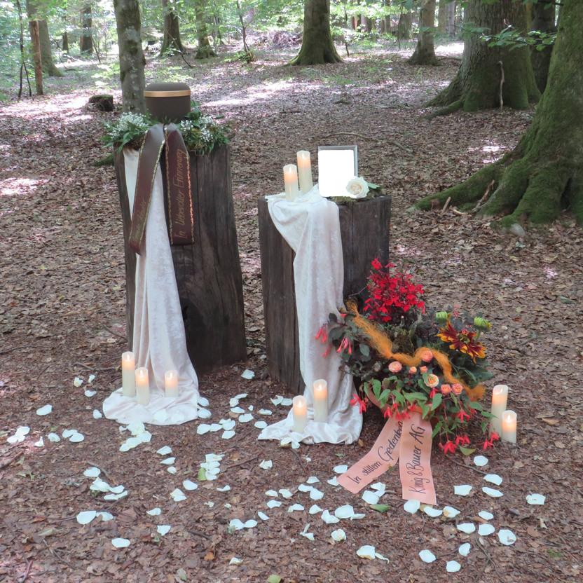 Gedenkplatz im Wald mit Kerzen, Blumenarrangements und einer Tafel auf Baumst&auml;mmen, umgeben von Laub.