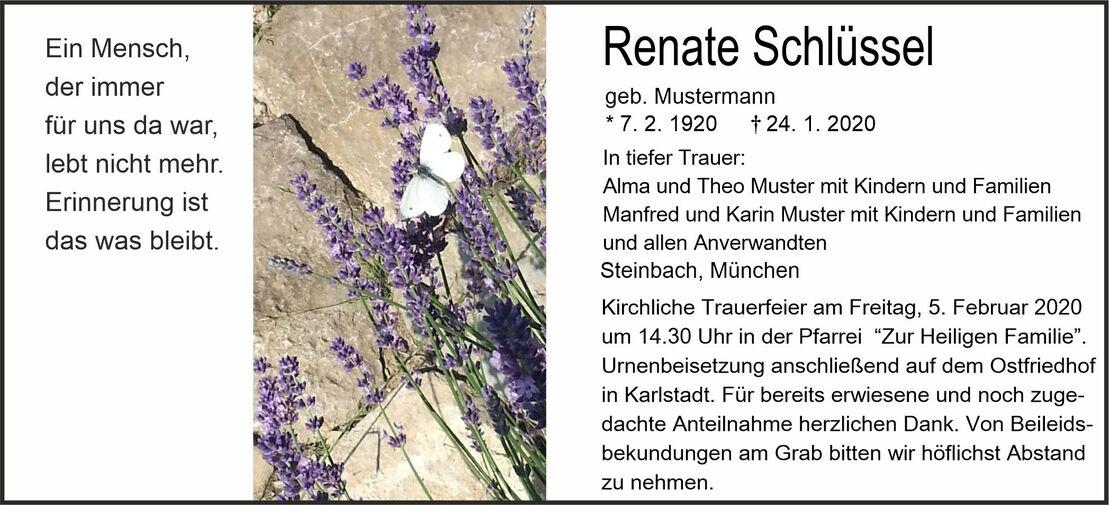Schmetterling sitzt auf lila Lavendelbl&uuml;ten vor einem steinigen Hintergrund, umgeben von frischem Gras.