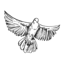 Grafik eines fliegenden Vogels mit ausgebreiteten Flügeln auf schwarzem Hintergrund.