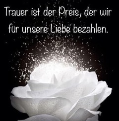 Wei&szlig;e Rose mit Wassertr&ouml;pfchen auf schwarzem Hintergrund, dar&uuml;ber der Text: &bdquo;Trauer ist der Preis, der wir f&uuml;r unsere Liebe bezahlen.&ldquo;