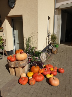 Vielf&auml;ltige K&uuml;rbisse in verschiedenen Farben liegen vor einer Wand und einer holzgeschnittenen Tischplatte.