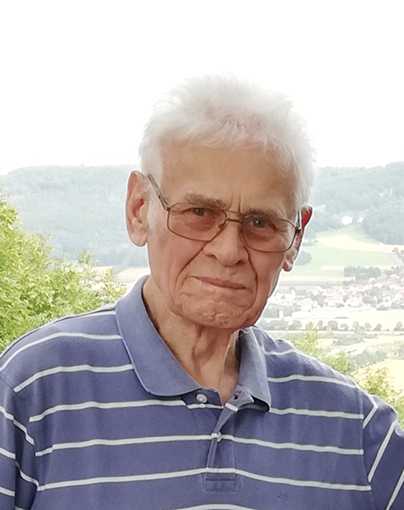 &Auml;lterer Mann mit grauen Haaren und Brille, tr&auml;gt ein gestreiftes T-Shirt, im Hintergrund Landschaft mit gr&uuml;nen H&uuml;geln.