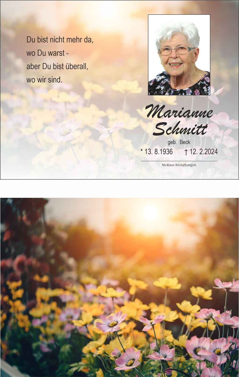 Bild von einer Blumenwiese mit gelben und pinken Bl&uuml;ten im Hintergrund und einem sanften Sonnenuntergang.