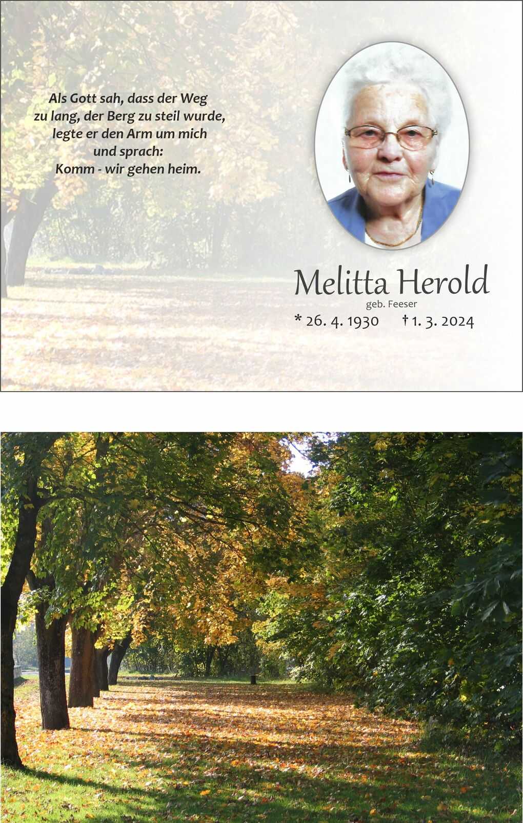 Bild von bunten Herbstb&auml;umen entlang eines Weges, dessen Boden mit Laub bedeckt ist. Sanftes Licht durchdringt die &Auml;ste.