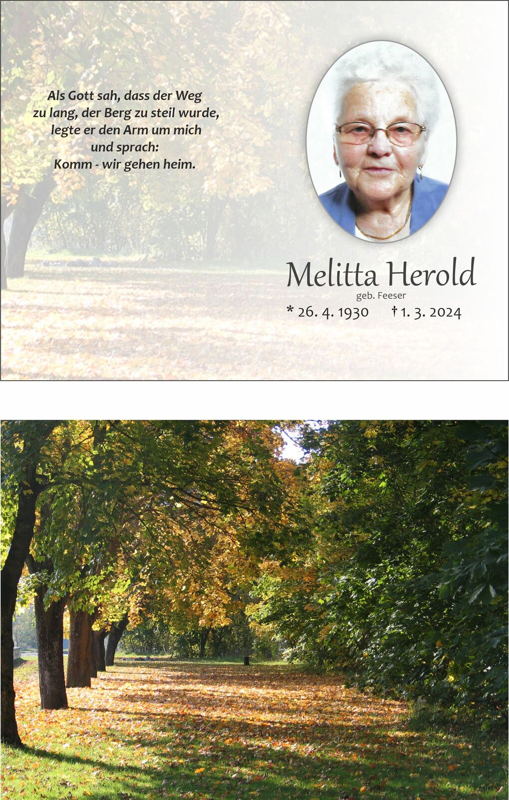 Bild von bunten Herbstb&auml;umen entlang eines Weges, dessen Boden mit Laub bedeckt ist. Sanftes Licht durchdringt die &Auml;ste.