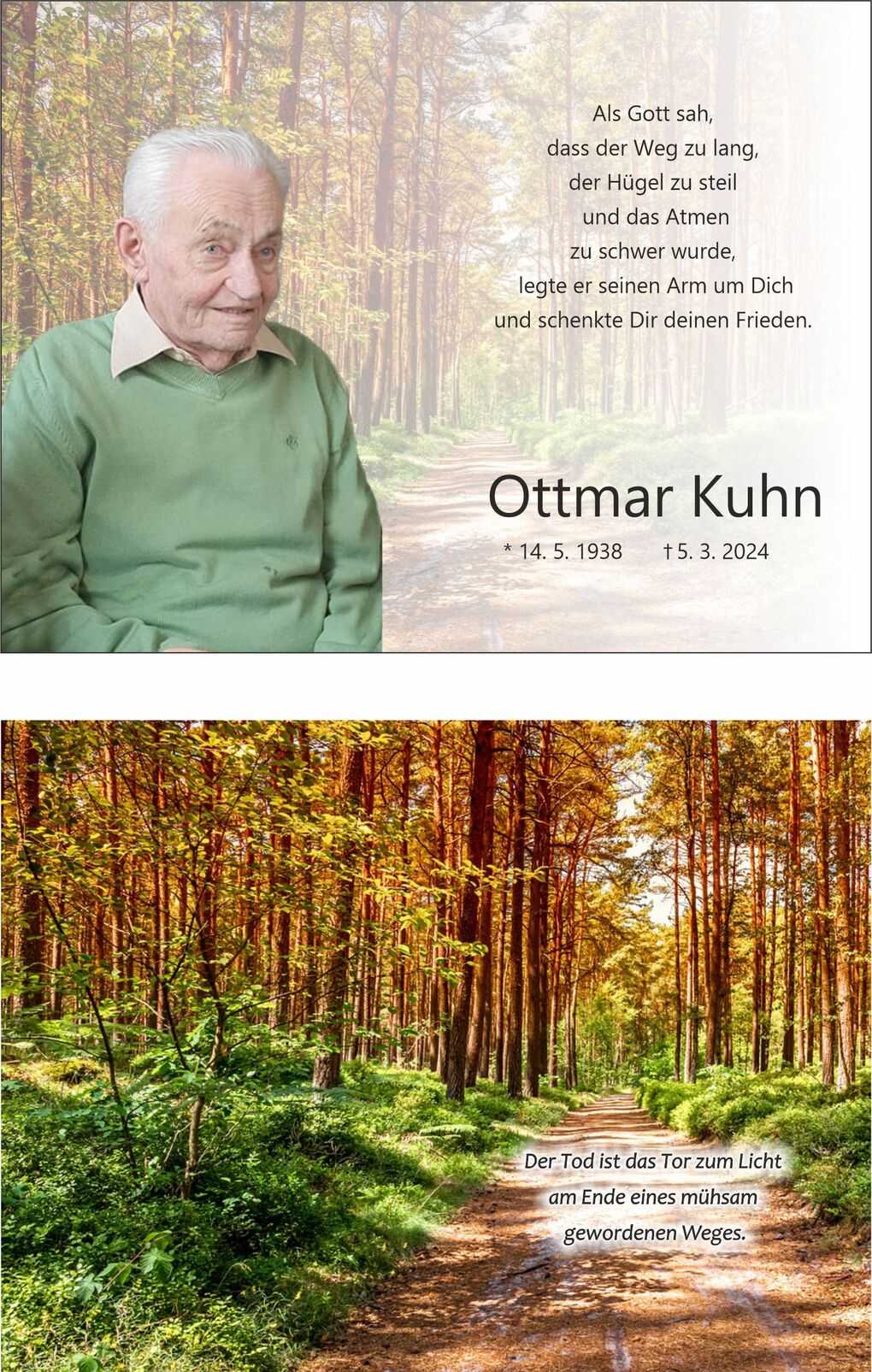 Portr&auml;t eines &auml;lteren Mannes in einem gr&uuml;nen Pullover, umgeben von einem Waldweg mit Sonnenlicht und B&auml;umen.