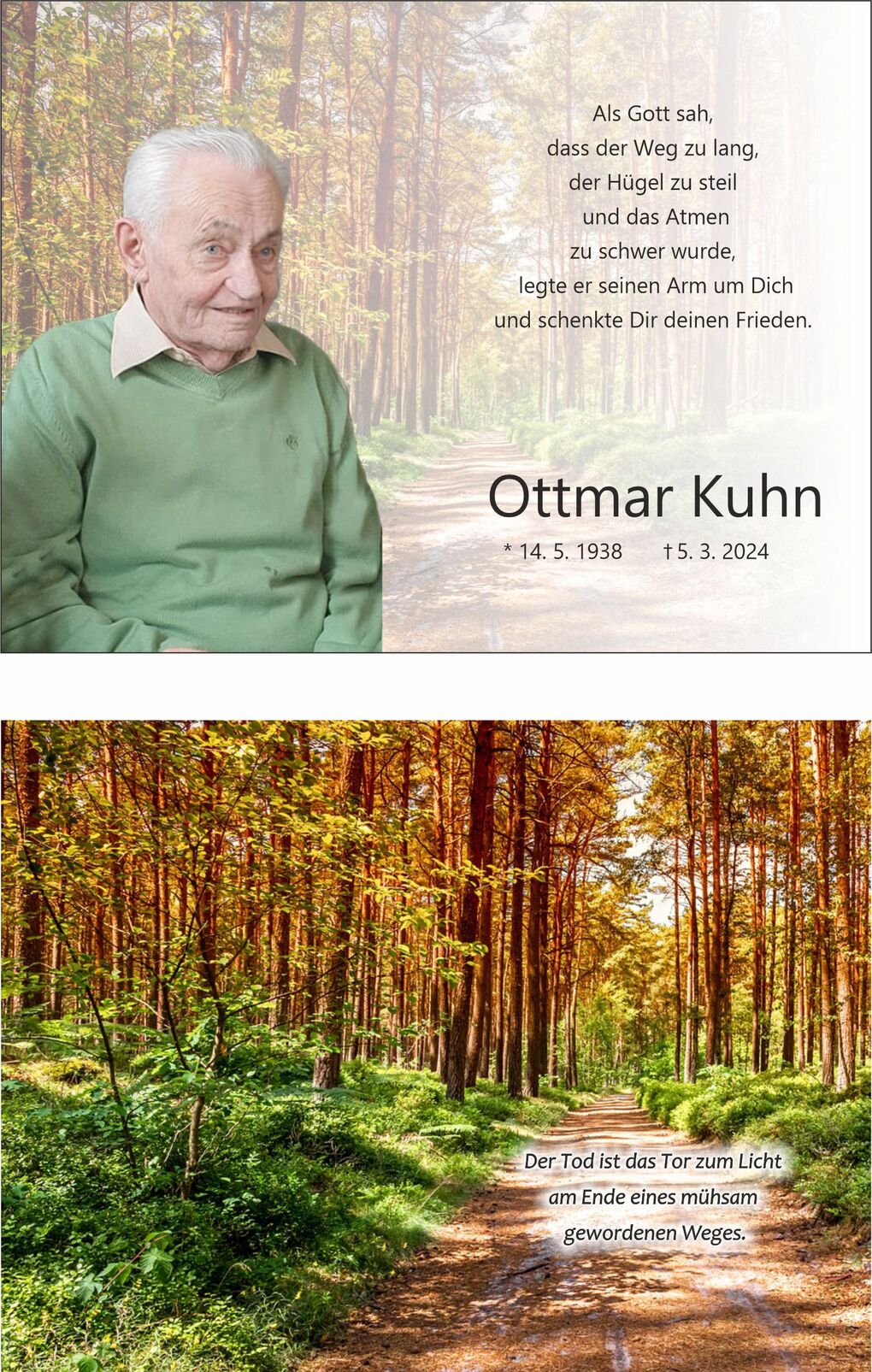 Portr&auml;t eines &auml;lteren Mannes in einem gr&uuml;nen Pullover, umgeben von einem Waldweg mit Sonnenlicht und B&auml;umen.