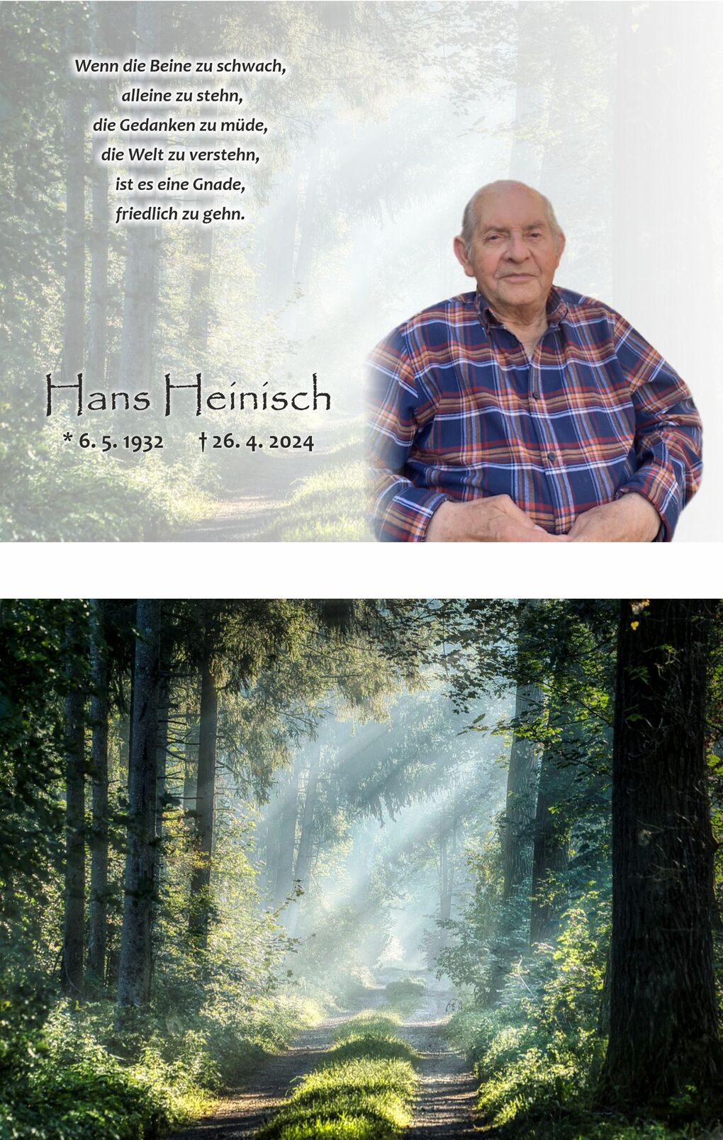 Portr&auml;t eines &auml;lteren Mannes mit kariertem Hemd, umgeben von einem weichen Hintergrund mit einem Waldweg.