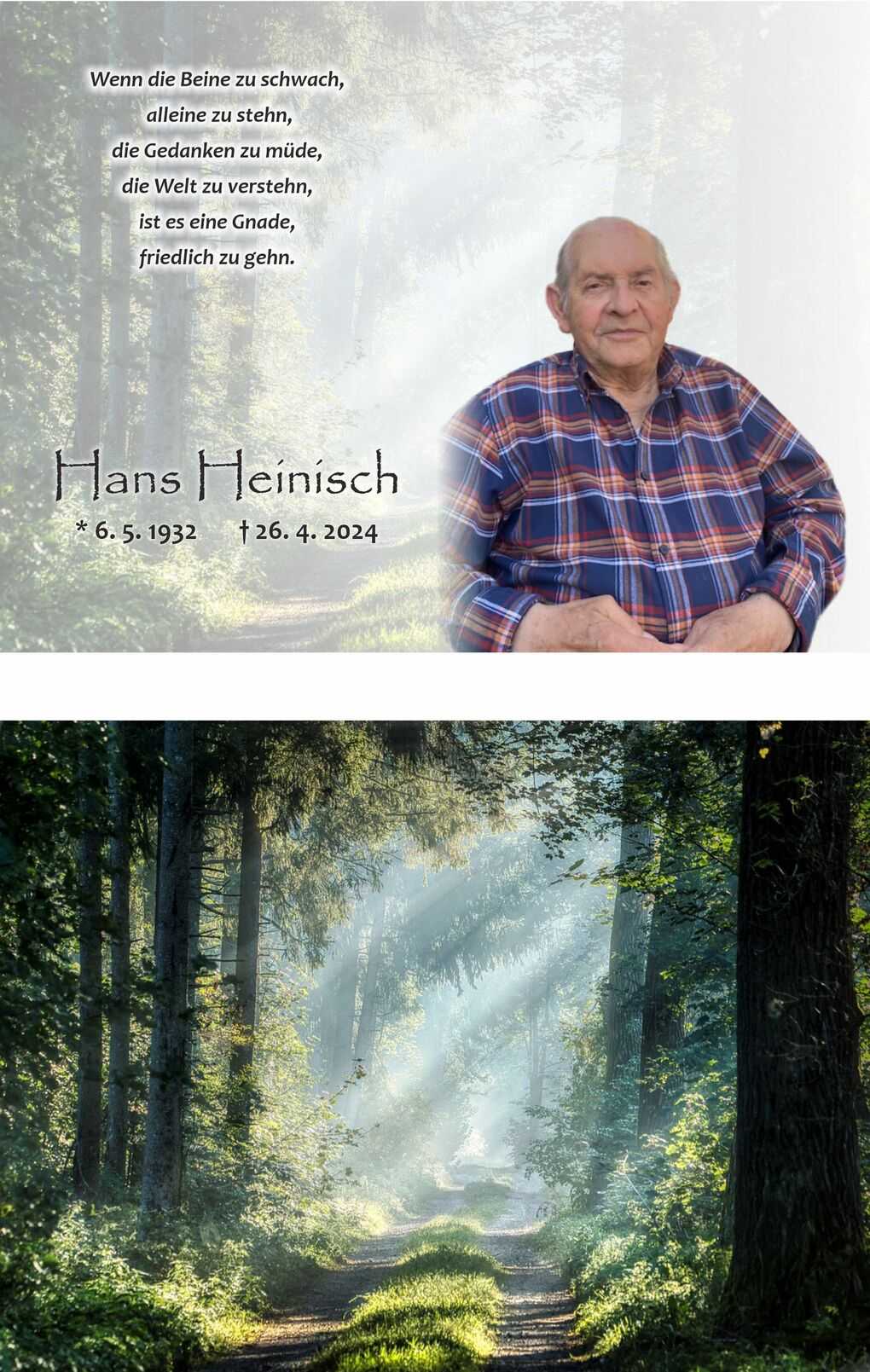 Portr&auml;t eines &auml;lteren Mannes mit kariertem Hemd, umgeben von einem weichen Hintergrund mit einem Waldweg.