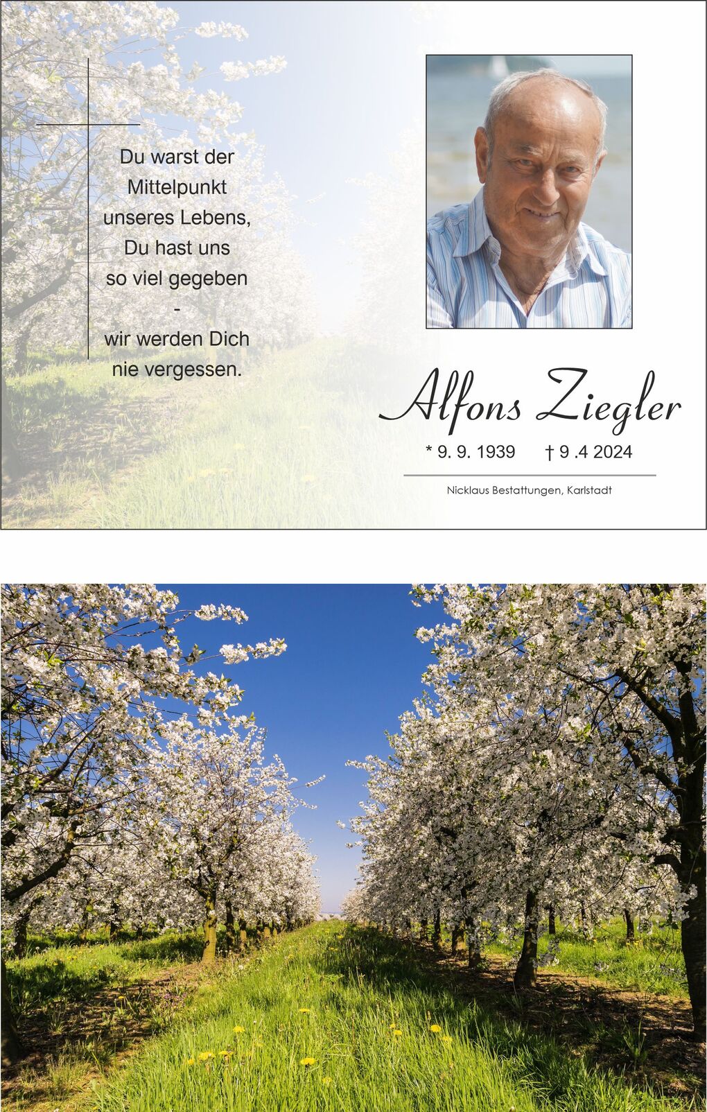 Bl&uuml;hender Obstbaumhain mit strahlend blauem Himmel und gr&uuml;nem Gras, im Vordergrund gelbe L&ouml;wenzahnbl&uuml;ten.