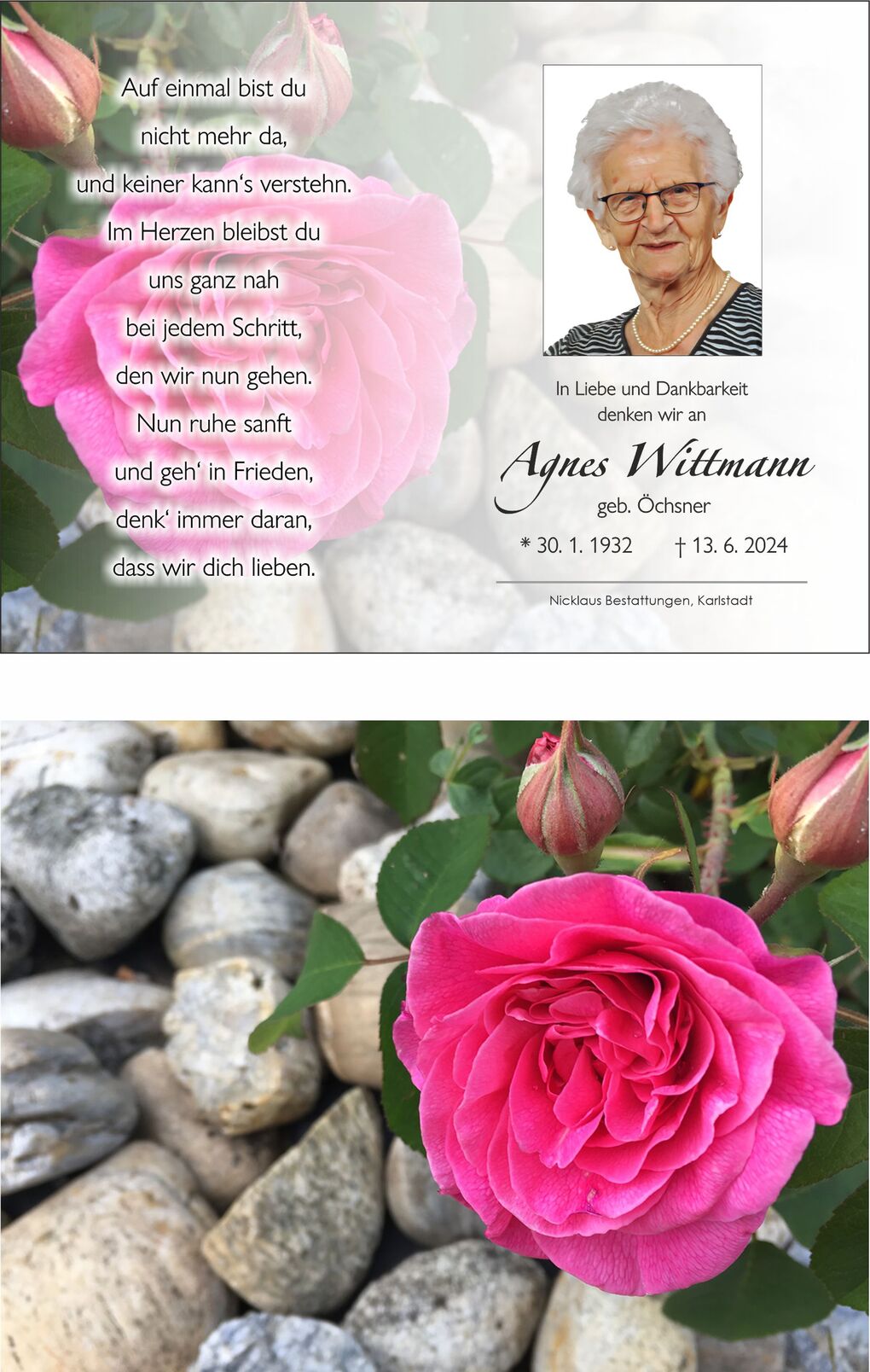 Rosa Bl&uuml;te mit gr&uuml;nen Bl&auml;ttern vor einer grauen Steindecke, umgeben von knospenden Rosen.