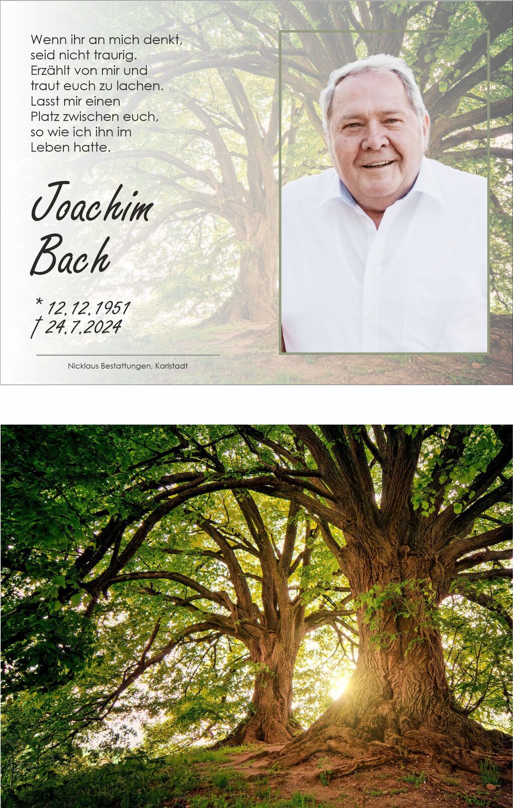 Gedenkbild f&uuml;r Joachim Bach mit einem Portr&auml;t und einem alten Baum im Hintergrund, umgeben von sanften Lichtstrahlen.