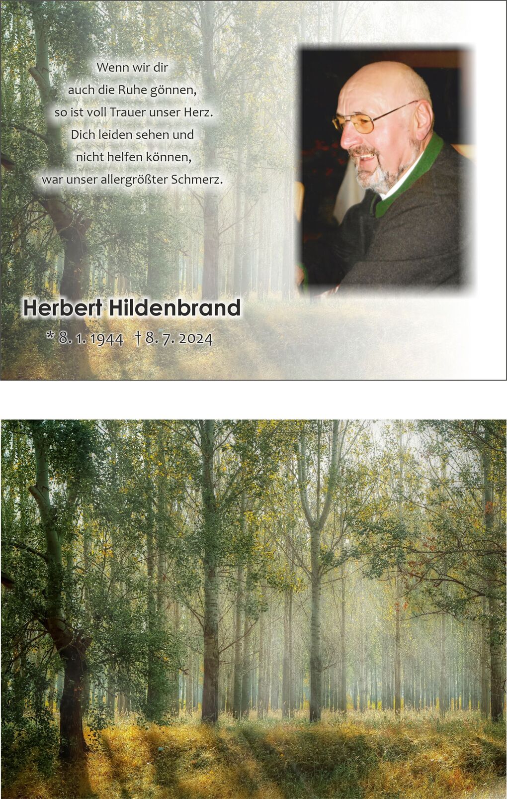 Traueranzeige f&uuml;r Herbert Hildenbrand mit Foto und Trauerspruch vor einer verschwommenen Waldlandschaft.