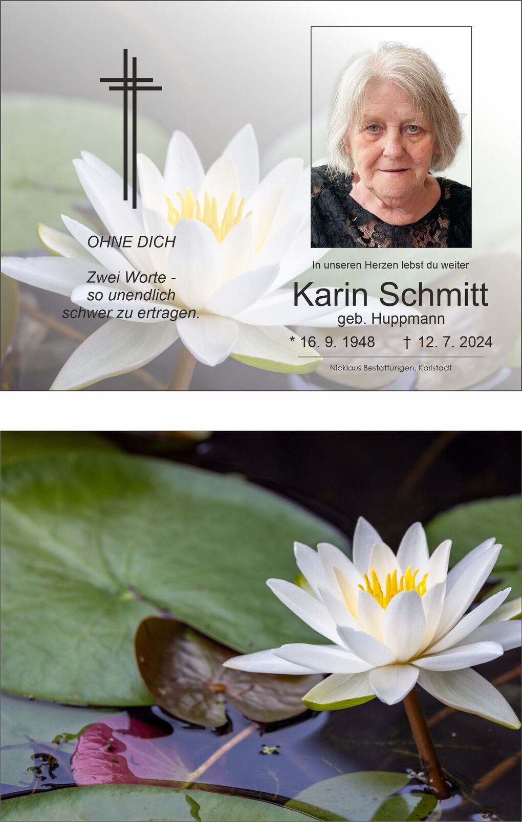 Elegante Wasserlilie bl&uuml;ht auf der Oberfl&auml;che eines Teichs, umgeben von gr&uuml;nen Seerosenbl&auml;ttern.