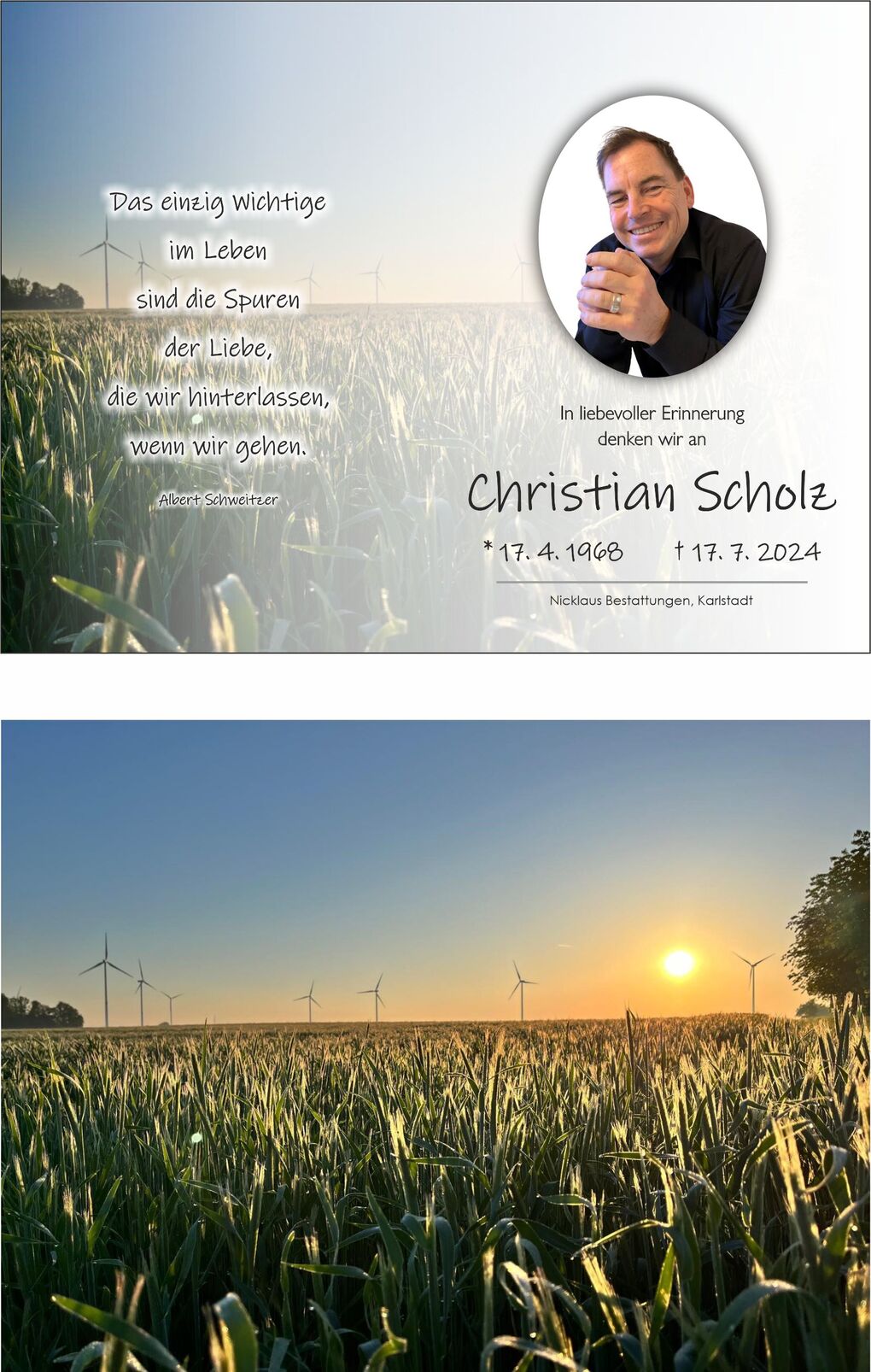 Sonnenaufgang &uuml;ber einem Feld mit Windr&auml;dern, umgeben von feucht-gl&auml;nzendem Gras. Ein zarter Nebel ist sichtbar.