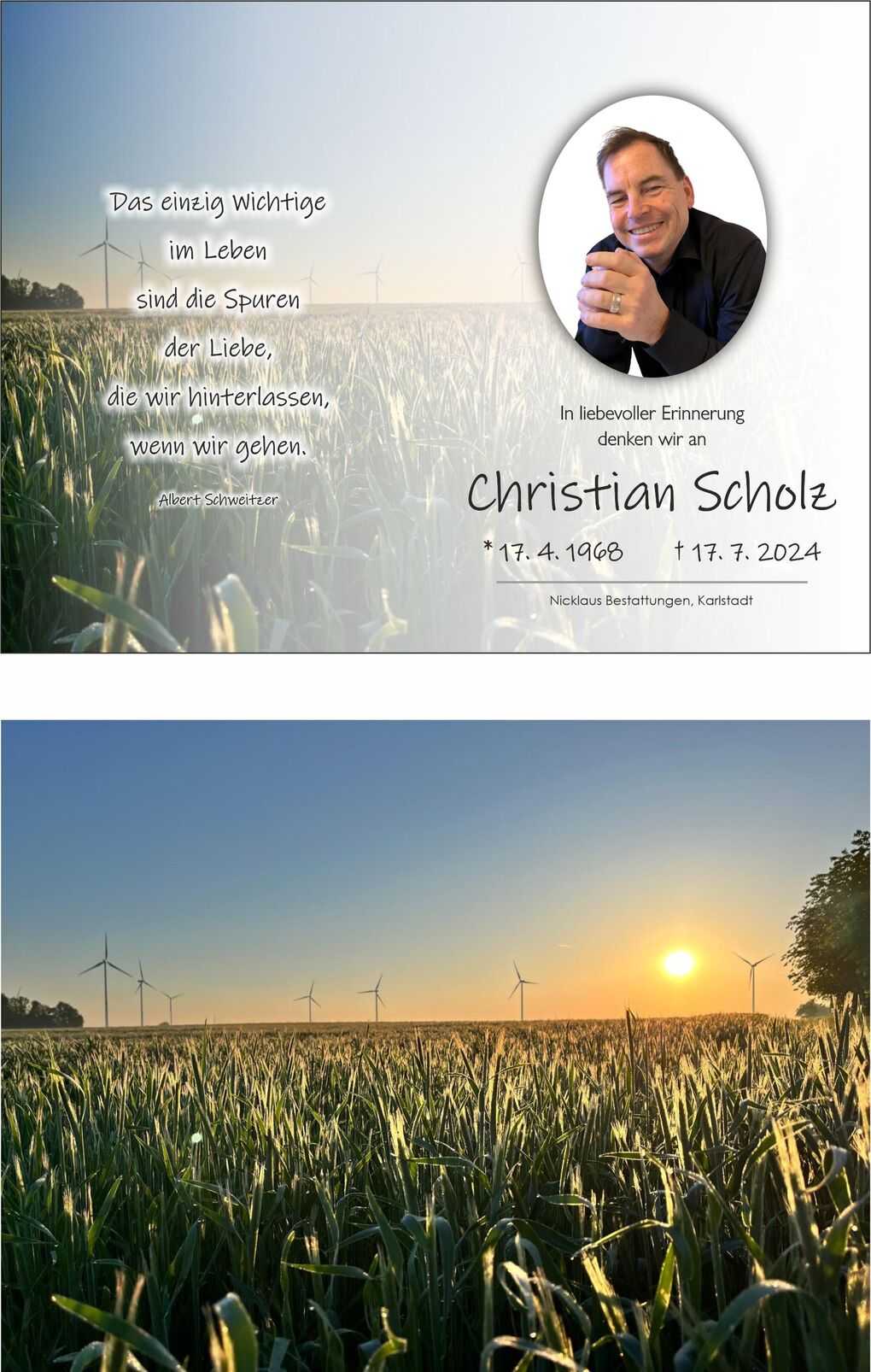 Sonnenaufgang &uuml;ber einem Feld mit Windr&auml;dern, umgeben von feucht-gl&auml;nzendem Gras. Ein zarter Nebel ist sichtbar.