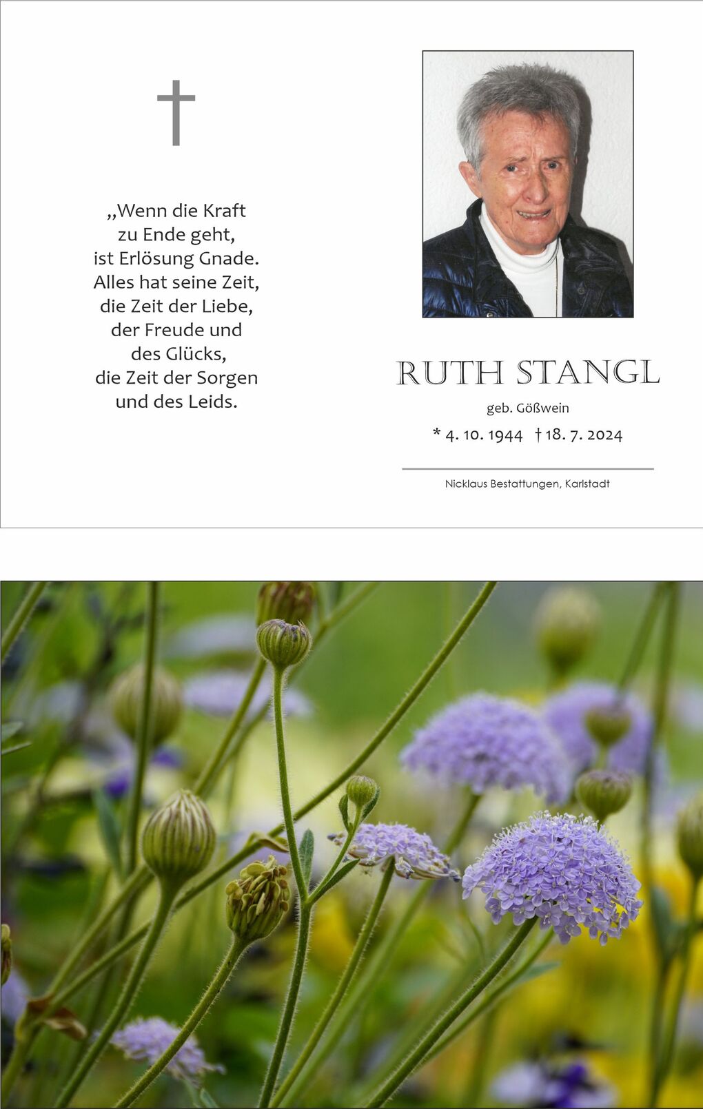 Bunte Blumenpflanzen mit lila und gr&uuml;nen Knospen im Vordergrund auf unscharfem Hintergrund.