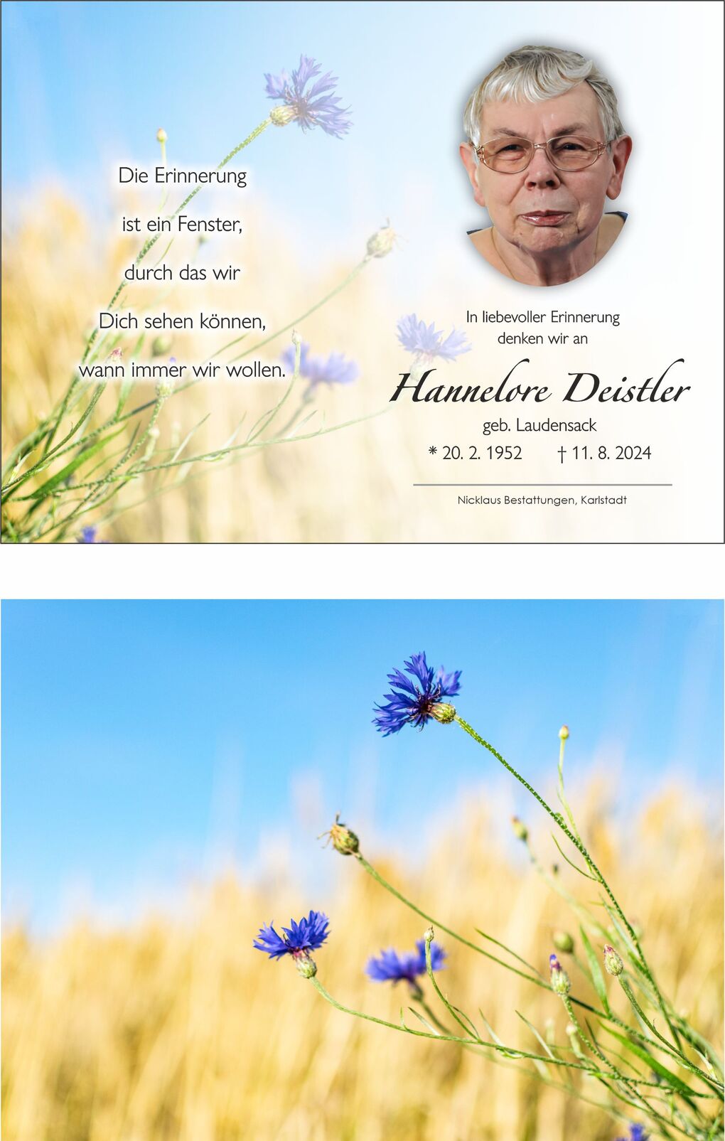 Bl&uuml;hende Kornblumen mit unscharfem, goldenem Hintergrund unter blauen Himmel.