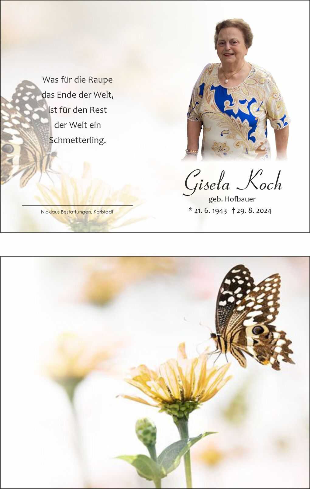 Nahaufnahme eines Schmetterlings, der auf einer gelben Blume sitzt, umgeben von verschwommenen, hellen Hintergr&uuml;nden.