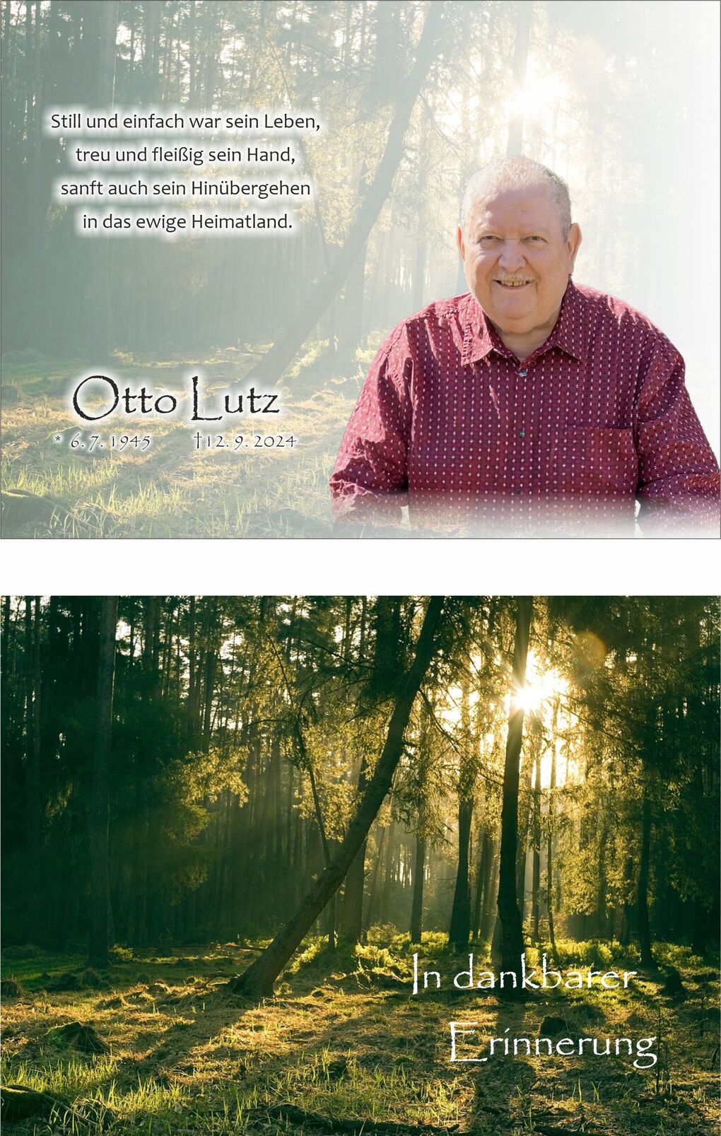 Portr&auml;t eines l&auml;chelnden Mannes in einem gepunkteten Hemd, umgeben von einem lichten Wald mit Sonnenstrahlen.