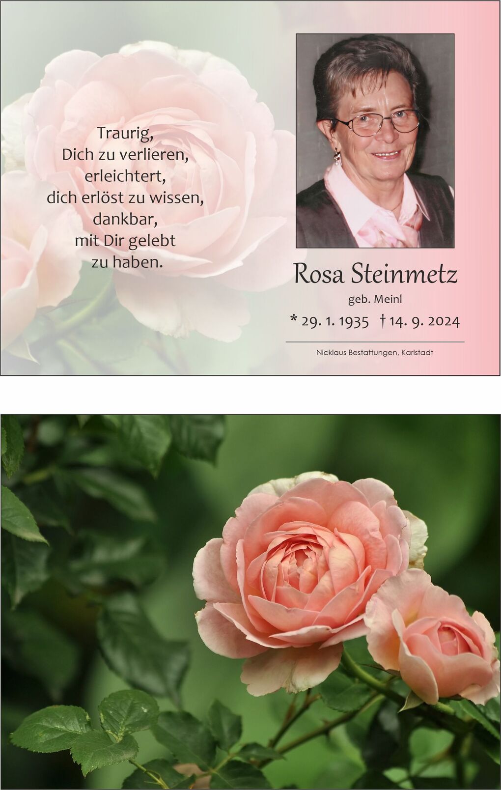 Zwei rosafarbene Rosenbl&uuml;ten mit gr&uuml;nen Bl&auml;ttern vor unscharfem Hintergrund.