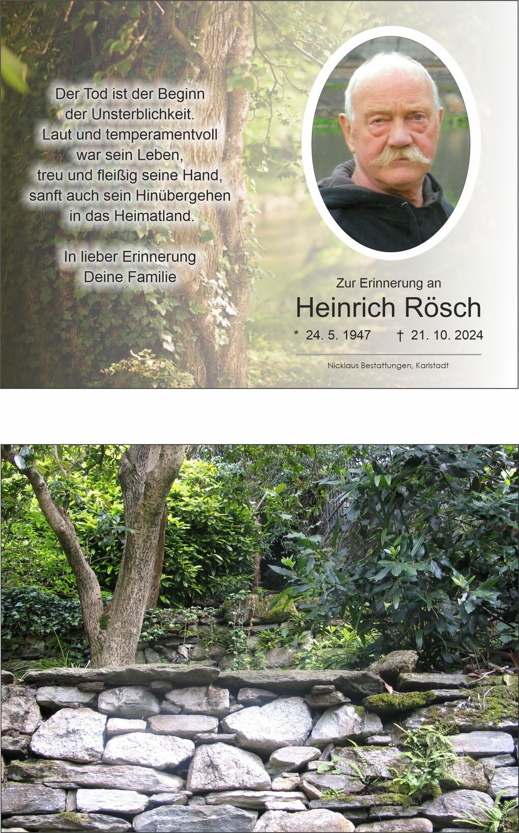 Gr&uuml;ne Gartenlandschaft mit einer Steinmauer und B&auml;umen, die von &uuml;ppigem Pflanzenwuchs umgeben ist.