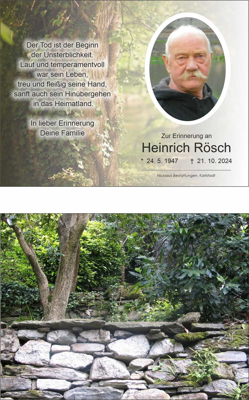 Gr&uuml;ne Gartenlandschaft mit einer Steinmauer und B&auml;umen, die von &uuml;ppigem Pflanzenwuchs umgeben ist.
