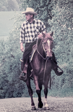 Reiter in kariertem Hemd und Stetson-Hut auf einem braunen Pferd auf einer schmalen Landstra&szlig;e mit B&auml;umen im Hintergrund.