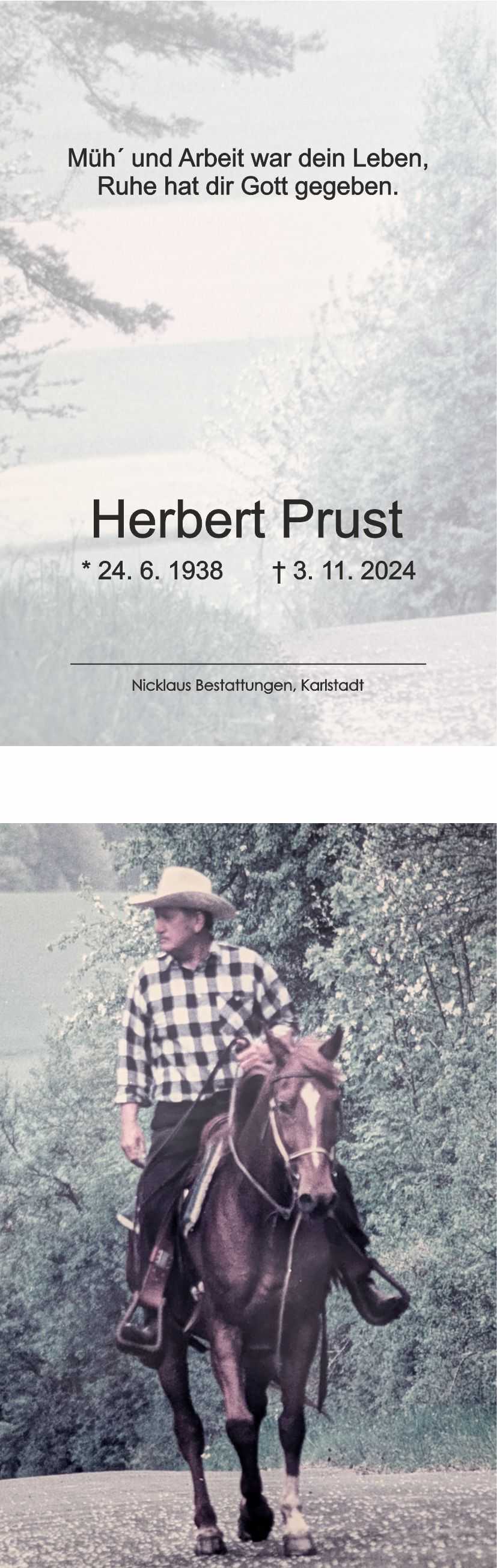 Portr&auml;t eines Mannes in kariertem Hemd und Hut, der auf einem Pferd an einem gr&uuml;nen Waldrand reitet.