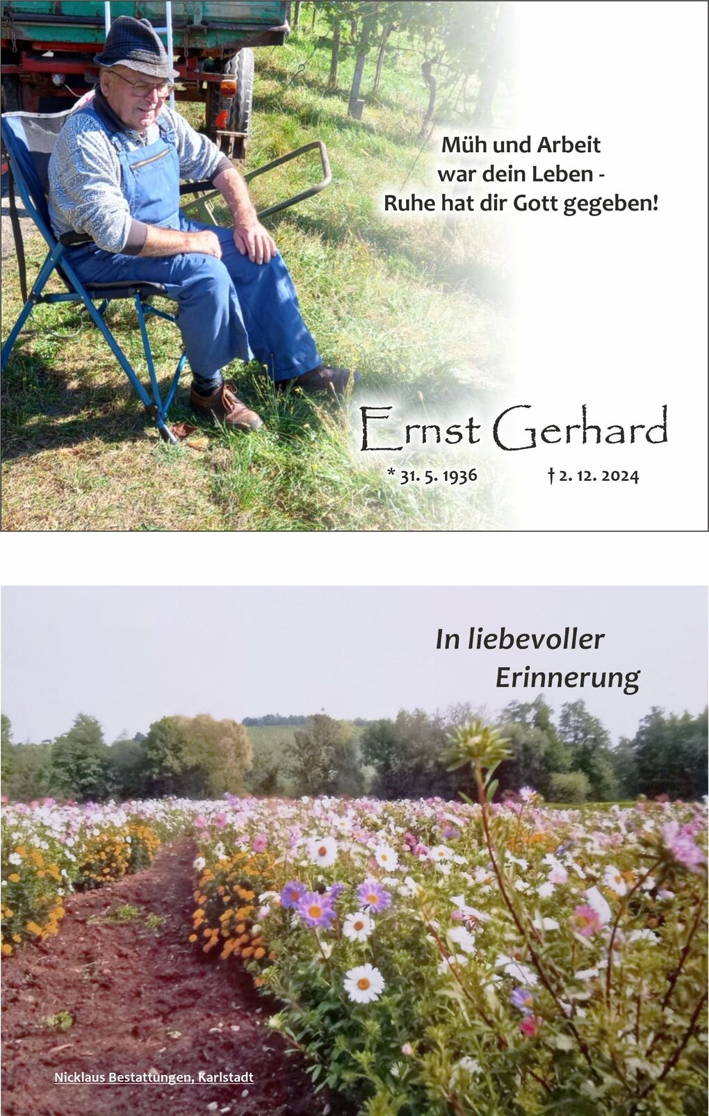 Senior im blauen Overall sitzt auf einem Stuhl im Gr&uuml;nen, umgeben von Weinreben und einer ruhigen Landschaft.