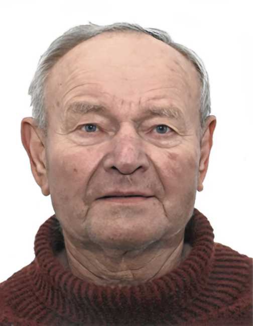 Portr&auml;t eines &auml;lteren Mannes mit grauen Haaren, blauen Augen und einem braunen Rollkragenpullover auf wei&szlig;em Hintergrund.