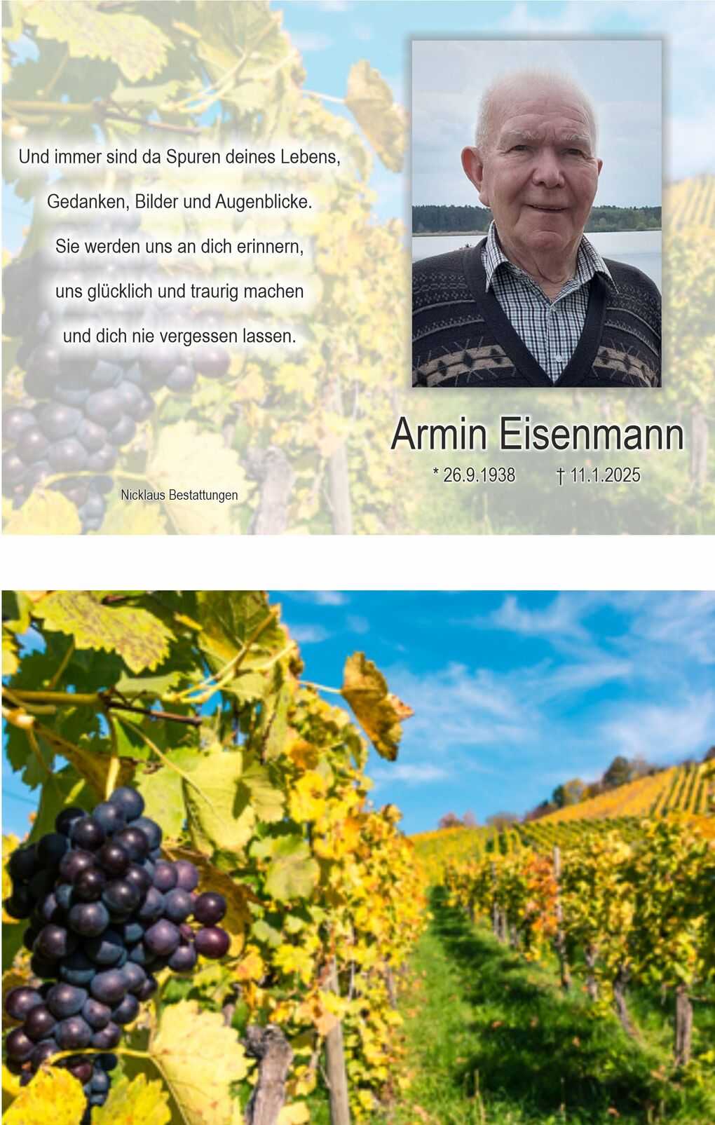 Bild eines Gedenkbildes mit dem Text zu Ehren von Armin Eisenmann sowie Weinreben im Hintergrund.