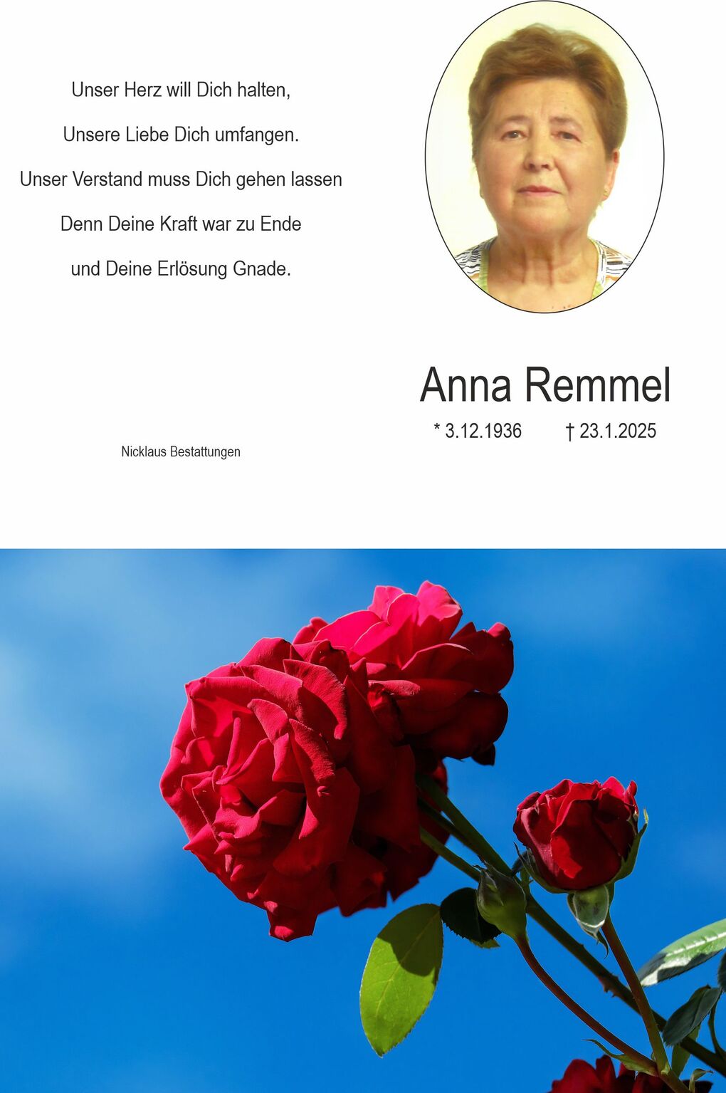 Rote Rosen in voller Bl&uuml;te vor einem klaren blauen Himmel, mit gr&uuml;nen Bl&auml;ttern und einem im Hintergrund unscharfen Knospen.