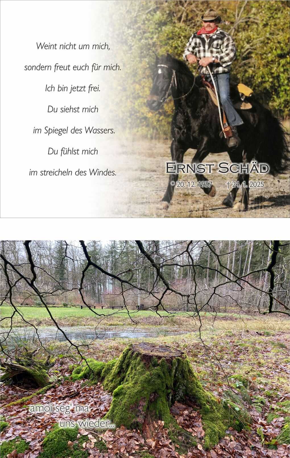 Reiter auf schwarzem Pferd in der Natur, Umrahmung mit Gedicht und Namen auf einem Gedenkblatt.