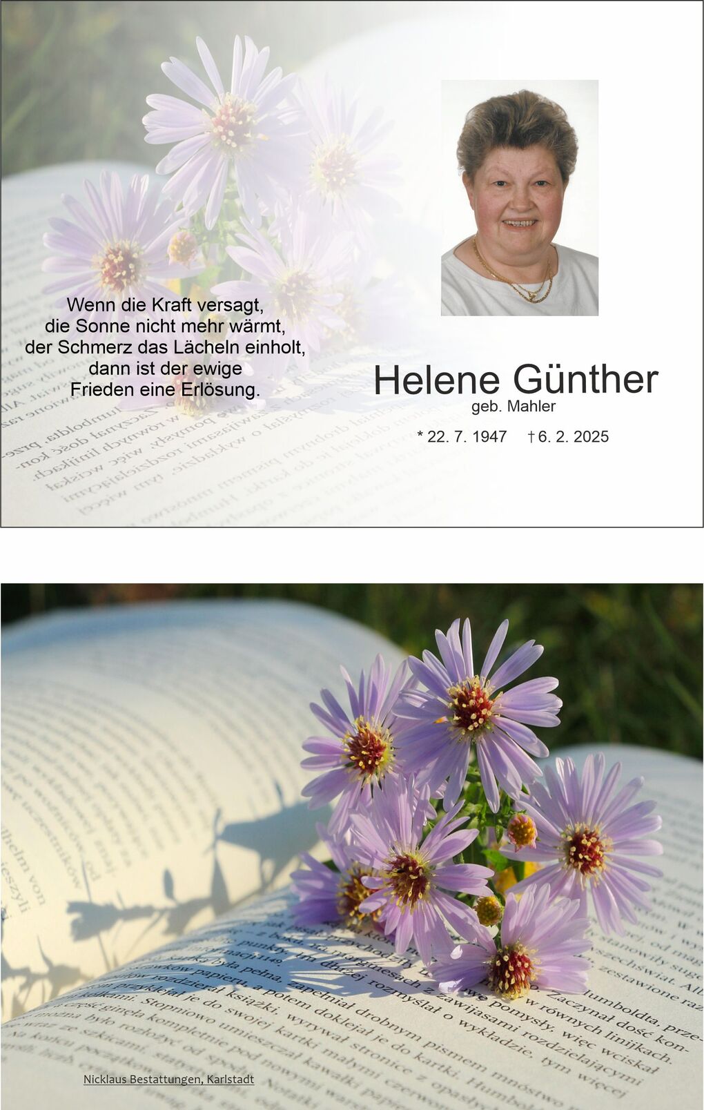 Bl&uuml;hender Asternstrau&szlig; auf einer offenen Buchseite mit verschwommenem Text im Hintergrund.