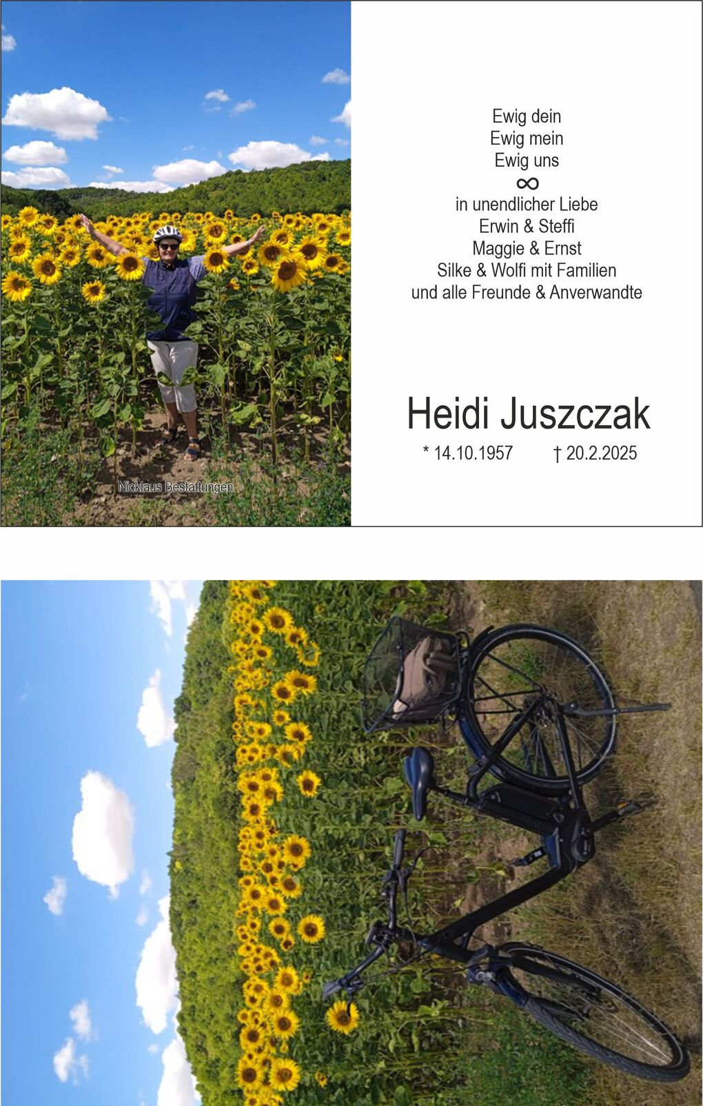 Person mit Fahrrad steht in einem Sonnenblumenfeld unter blauem Himmel, umgeben von bl&uuml;henden Sonnenblumen.