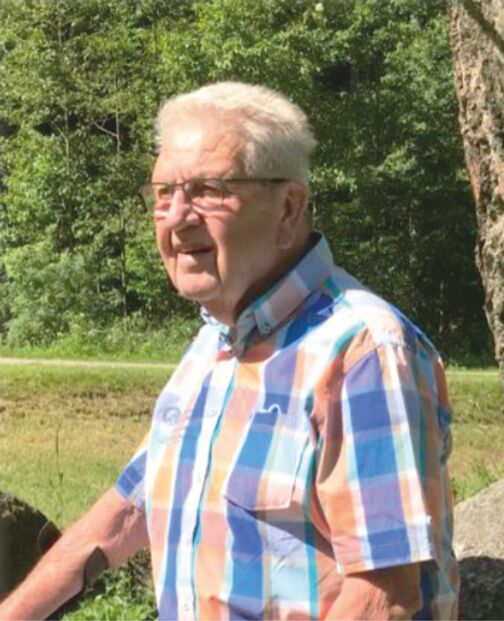 &Auml;lterer Mann mit Brille steht vor einer gr&uuml;nen Landschaft und tr&auml;gt ein karierter Hemd in Blau-Orange-T&ouml;nen.