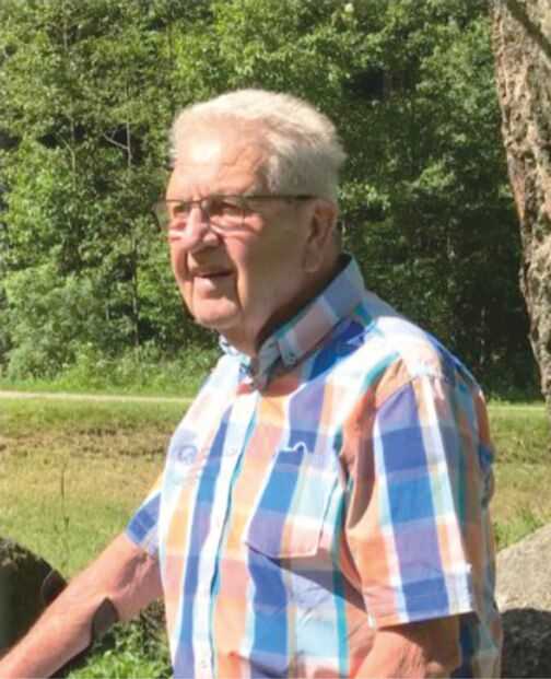 &Auml;lterer Mann mit Brille steht vor einer gr&uuml;nen Landschaft und tr&auml;gt ein karierter Hemd in Blau-Orange-T&ouml;nen.
