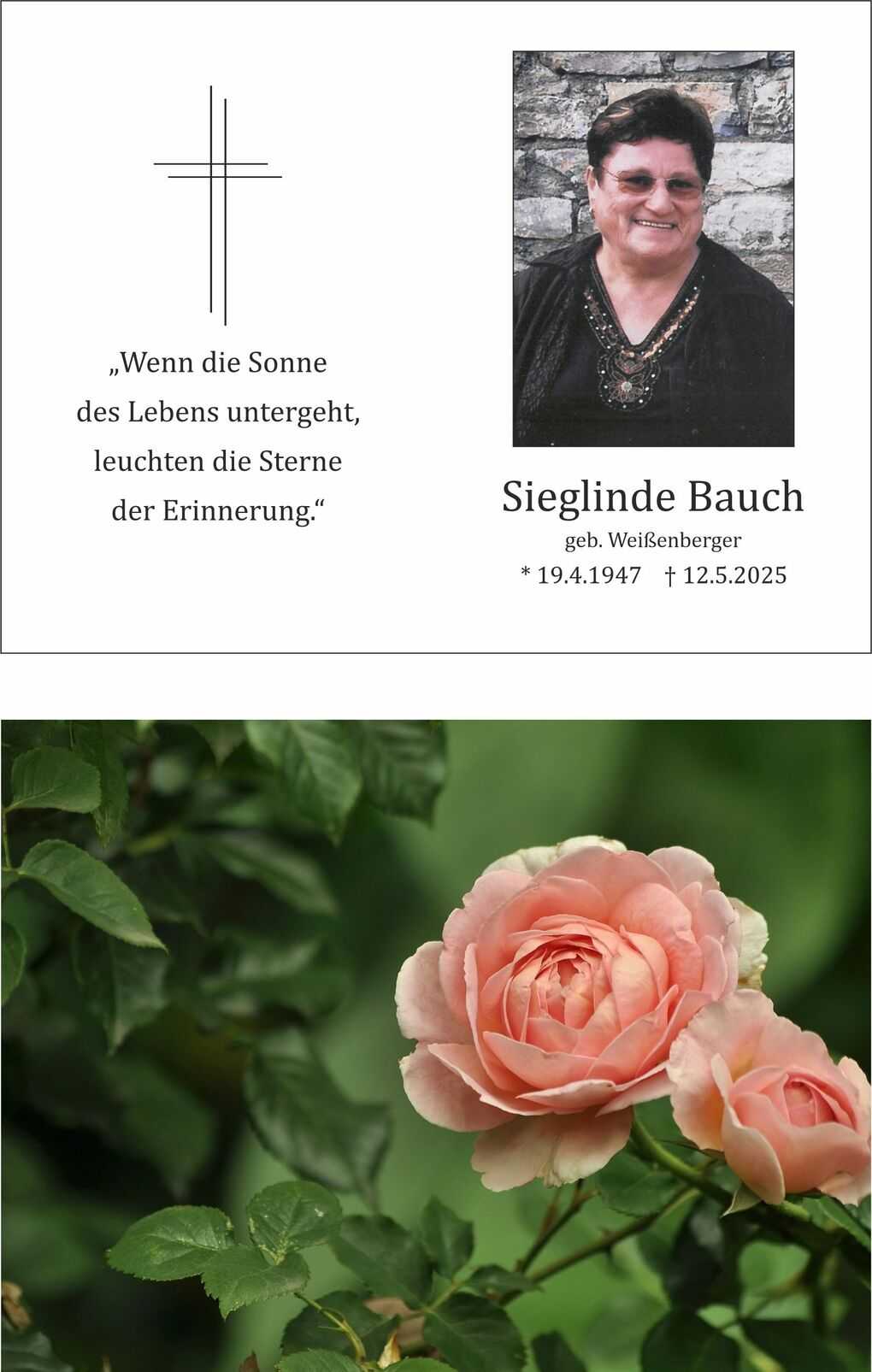 Rosa Bl&uuml;te einer Au&szlig;ernrose, umgeben von gr&uuml;nen Bl&auml;ttern auf unscharfem Hintergrund.