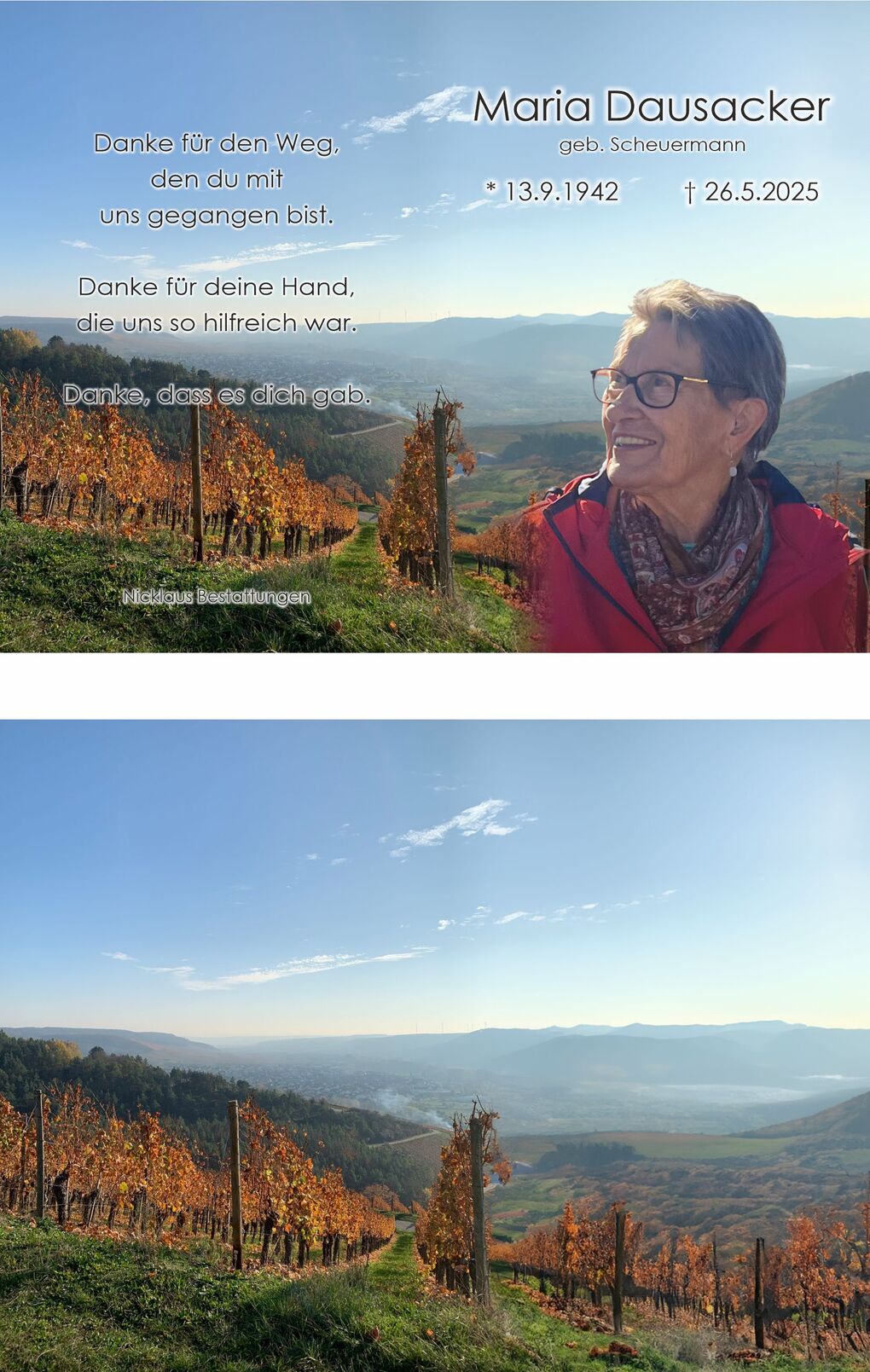 Panoramablick auf Weinreben im Herbst mit einer l&auml;chelnden Frau in roter Jacke, im Hintergrund eine rauchende Stadt.