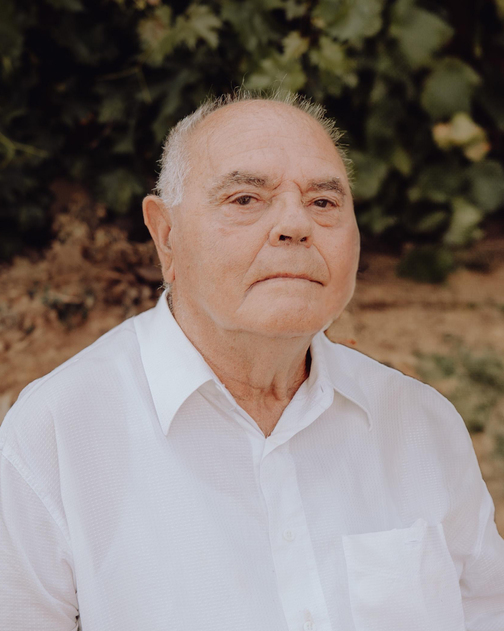 &Auml;lterer Mann mit ernster Miene in wei&szlig;em Hemd, im Hintergrund gr&uuml;ne Bl&auml;tter.