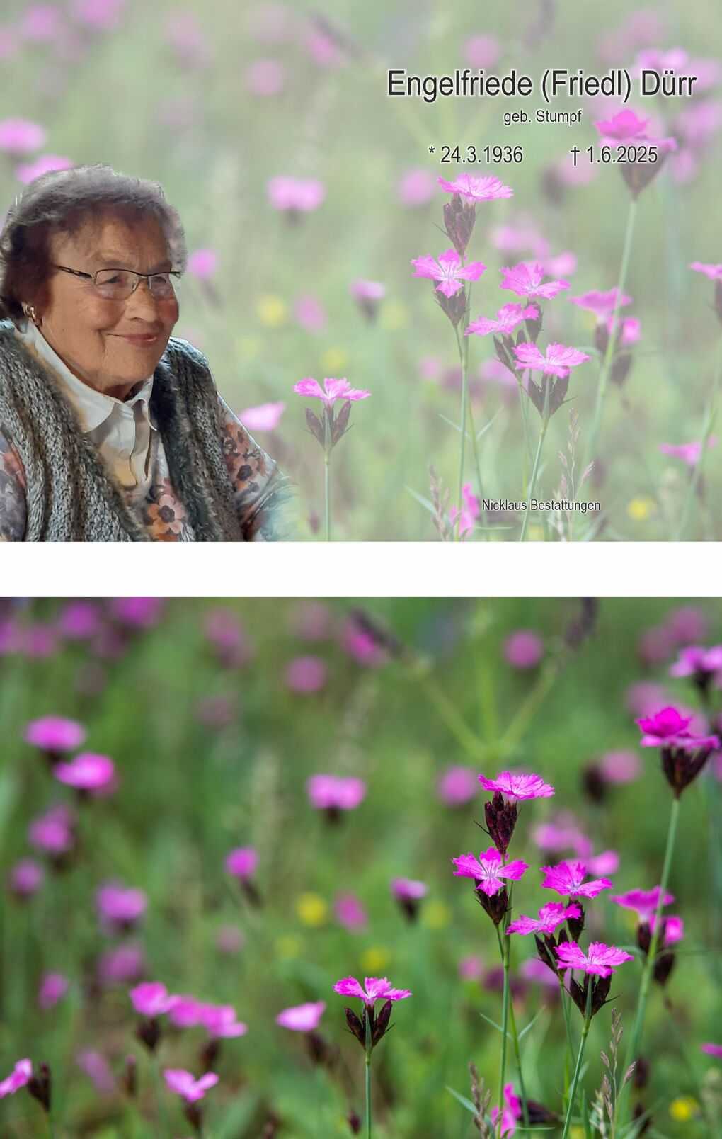 Portr&auml;t einer &auml;lteren Frau mit Brille, umgeben von pinken Blumen auf einer Wiese. Schriftz&uuml;ge mit Namen und Daten im Hintergrund.