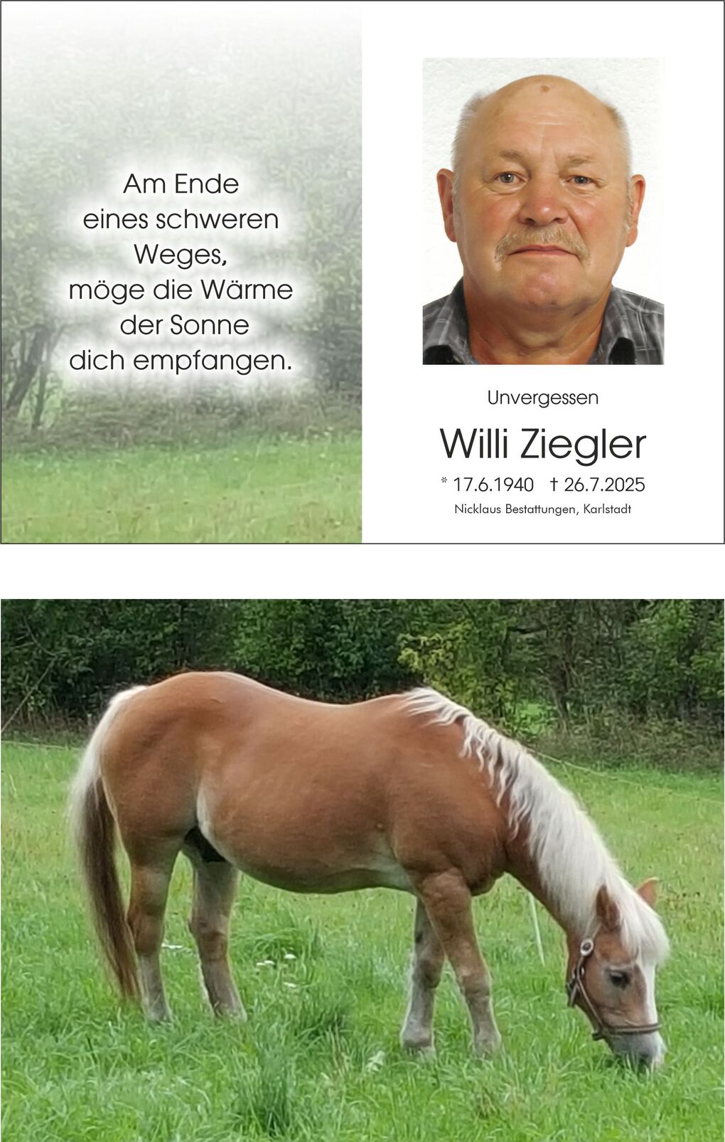Braunes Pferd mit weißer Mähne grast auf einer Wiese, umgeben von Bäumen und Grün.