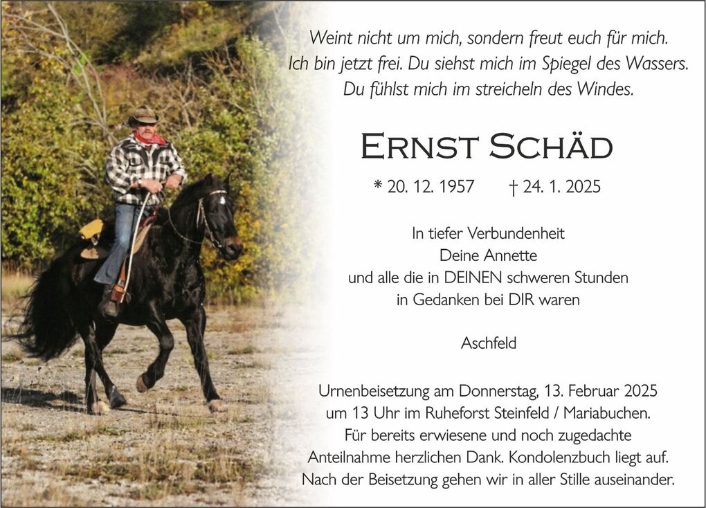 Reiter in kariertem Hemd auf schwarz gl&auml;nzendem Pferd in nat&uuml;rlicher Umgebung mit B&auml;umen im Hintergrund.